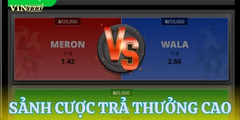 Sảnh đá gà trả thưởng cao ngất