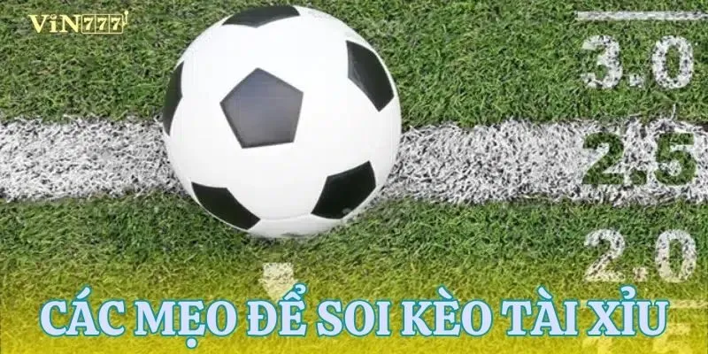 Tổng hợp các mẹo soi kèo tài xỉu 2 trái